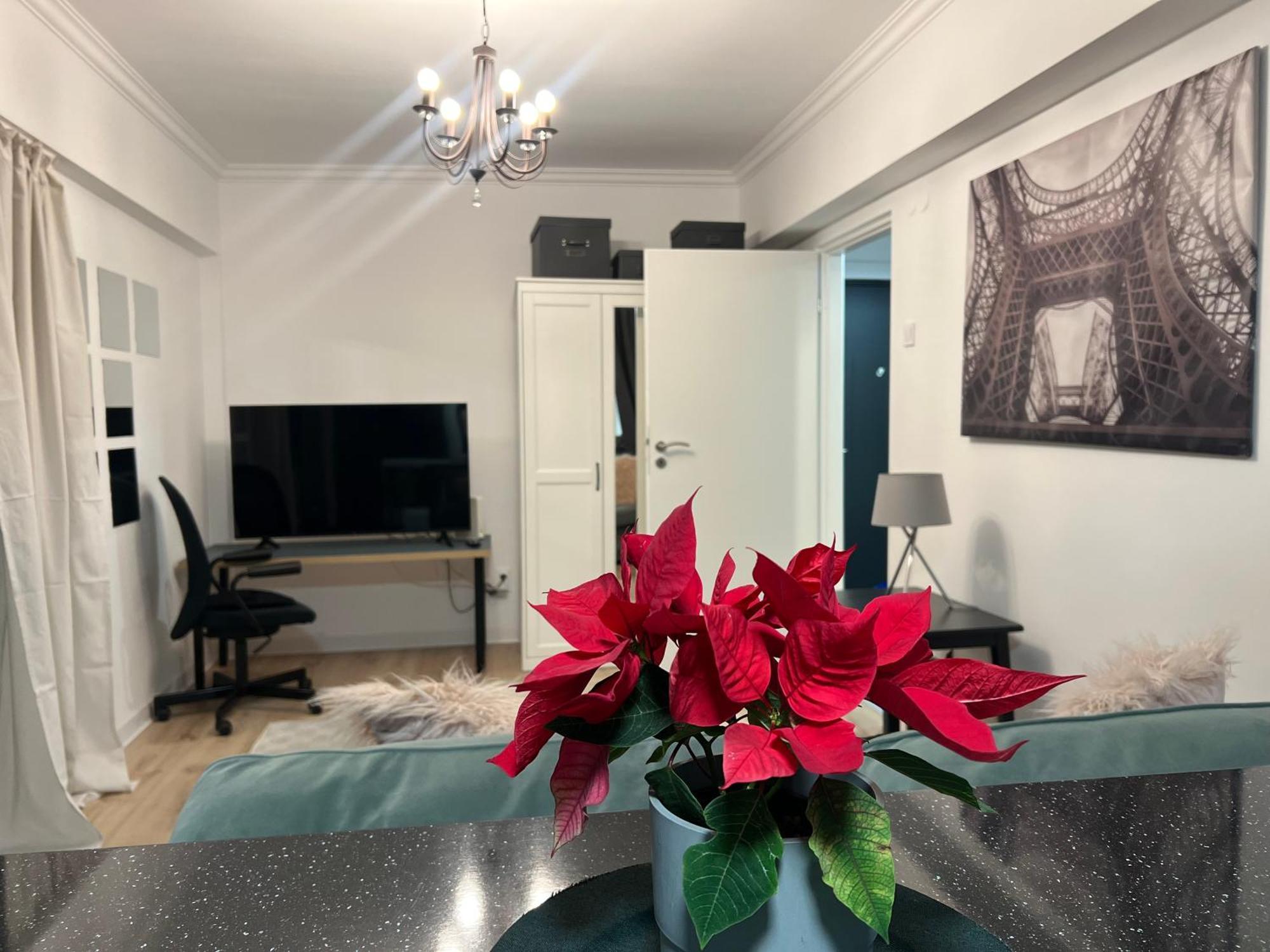 בוקרשט Cosy Studio Floreasca מראה חיצוני תמונה