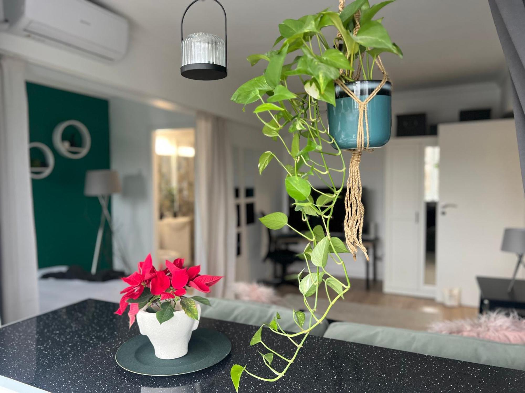 בוקרשט Cosy Studio Floreasca מראה חיצוני תמונה