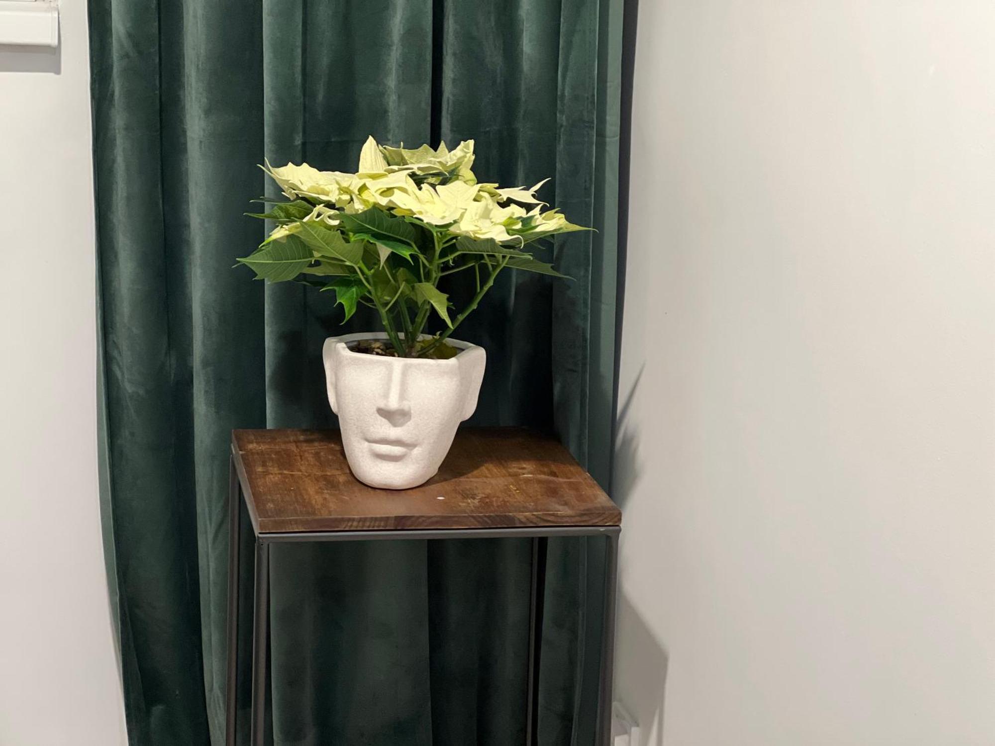 בוקרשט Cosy Studio Floreasca מראה חיצוני תמונה